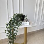 Small plant