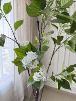 Jasmine Tree - Image 3