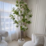 Jasmine Tree