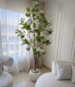 Jasmine Tree